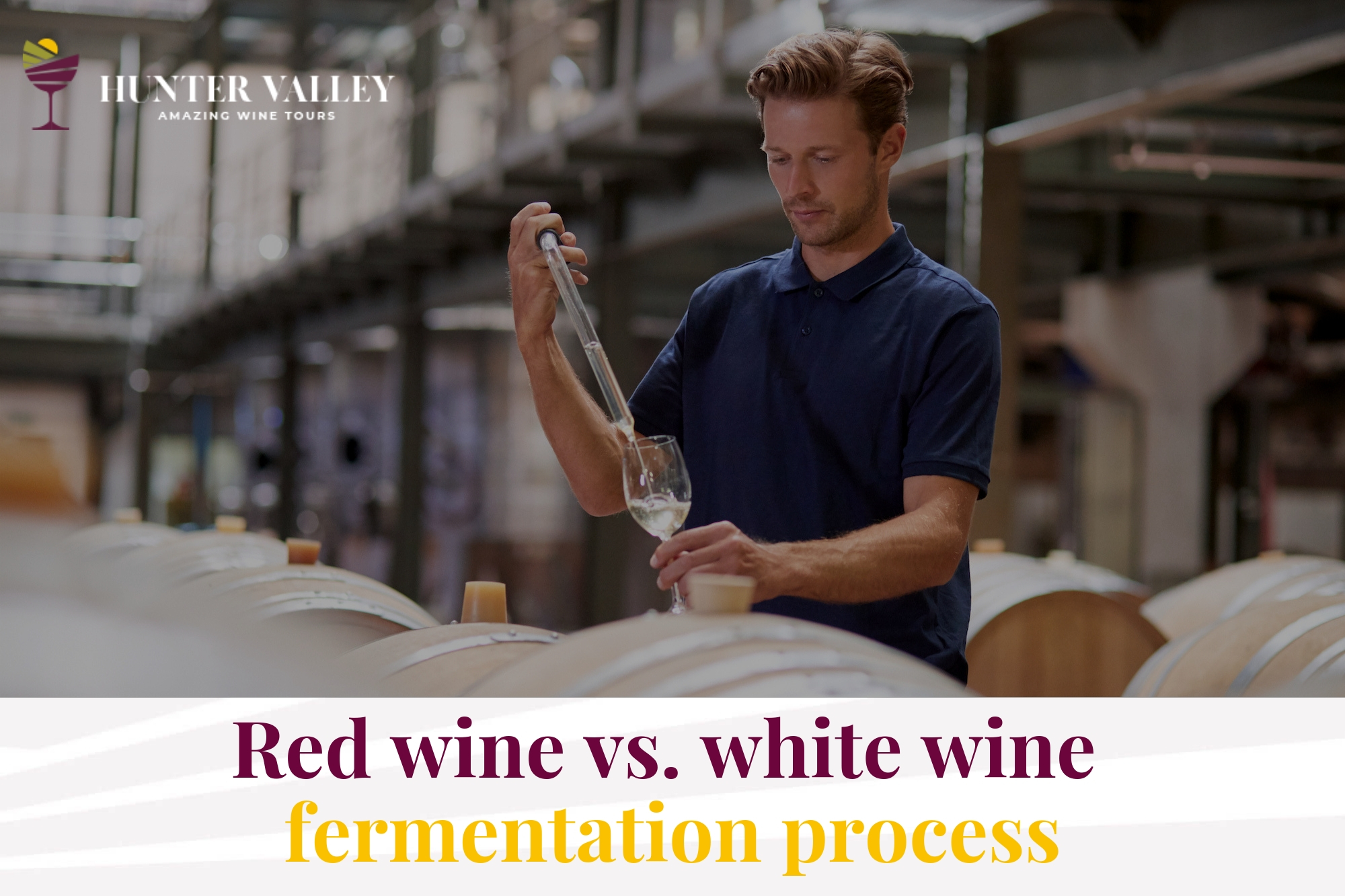 fermentation process